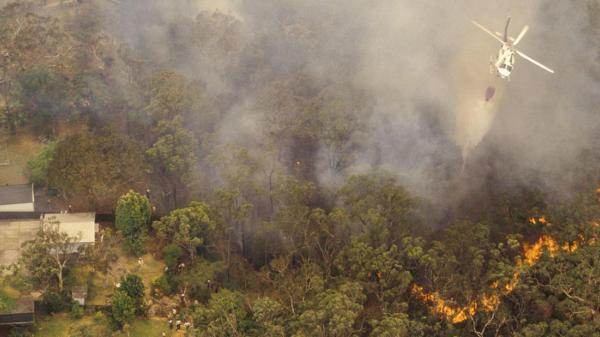 Esfuerzo en desastres naturales en Australia y puerto rico